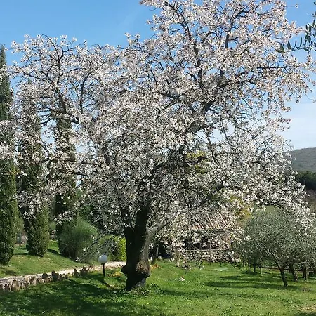 Frühstückspension Casale Campodoro Massa Martana