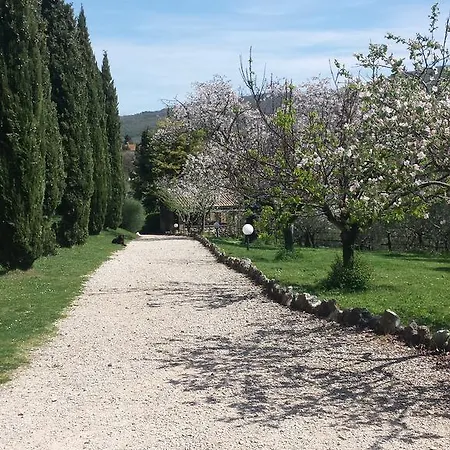 Casale Campodoro Bed & Breakfast Massa Martana