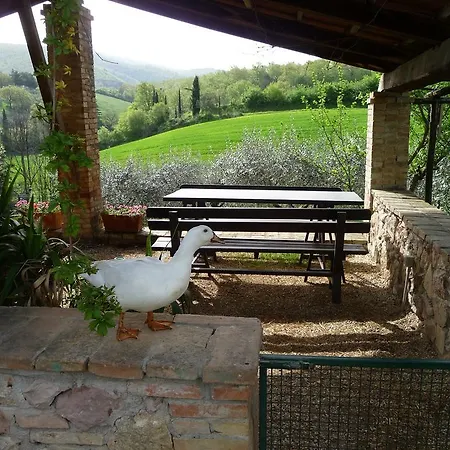 Casale Campodoro * Massa Martana